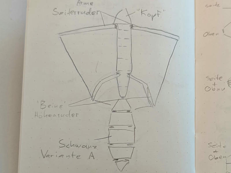 Skizze des Gleithörnchens